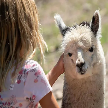 Luxuszelt Im Serengeti Park Lüks kamp alanı