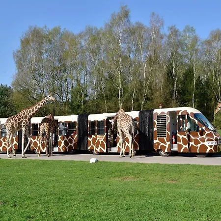 Lüks kamp alanı Luxuszelt Im Serengeti Park Hodenhagen