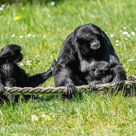 Luxuszelt Im Serengeti Park * Hodenhagen
