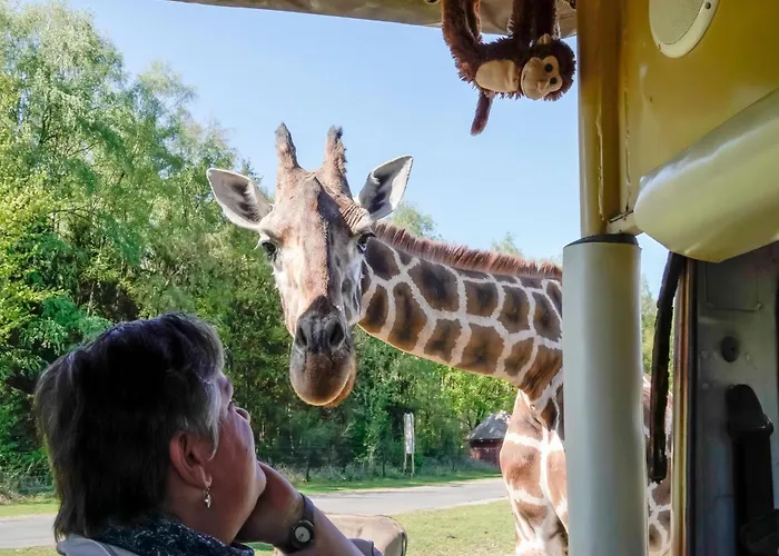 Luxuszelt Im Serengeti Park * Hodenhagen