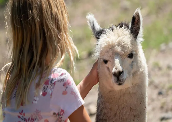 Luxuszelt Im Serengeti Park Οργανωμένο κάμπινγκ