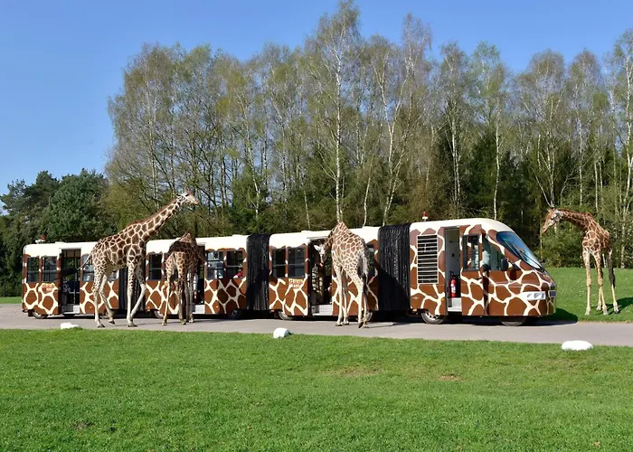 豪华帐篷 Luxuszelt Im Serengeti Park 霍登哈根